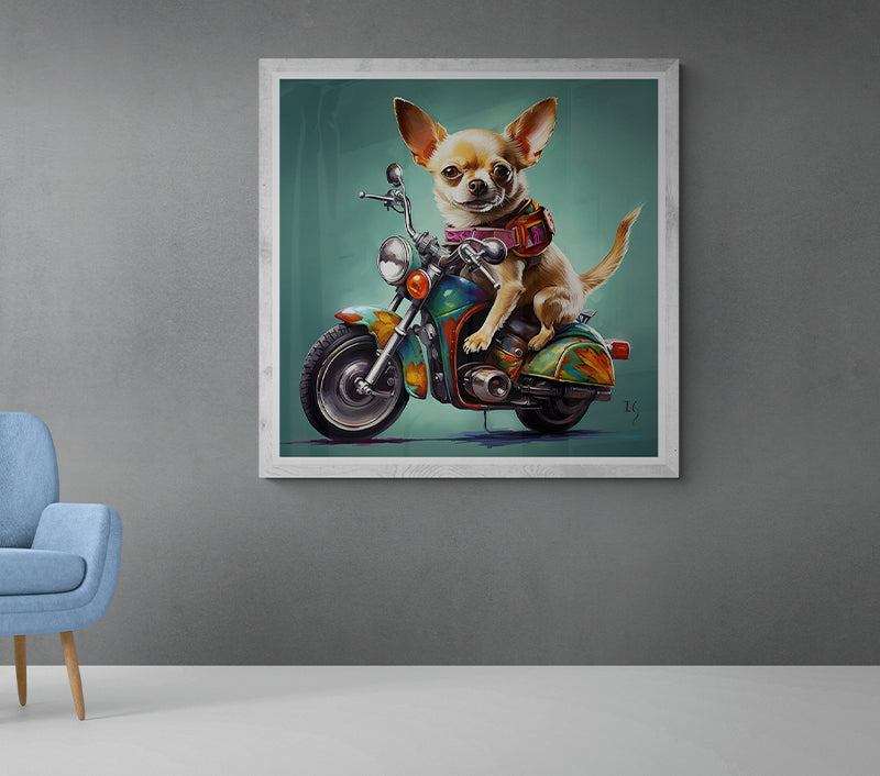 Happy and colorful chihuahua on a motorcycle ride.