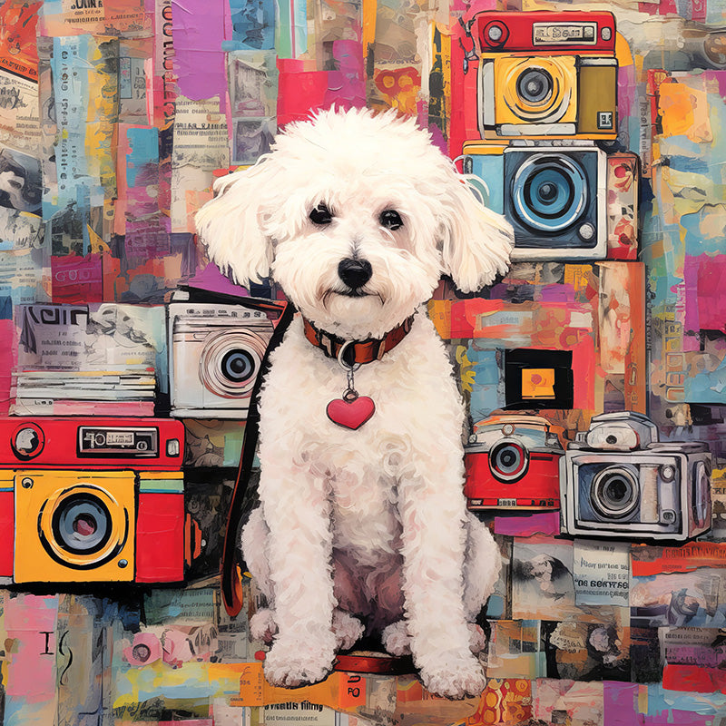 Framed custom pet art: white dog with retro cameras