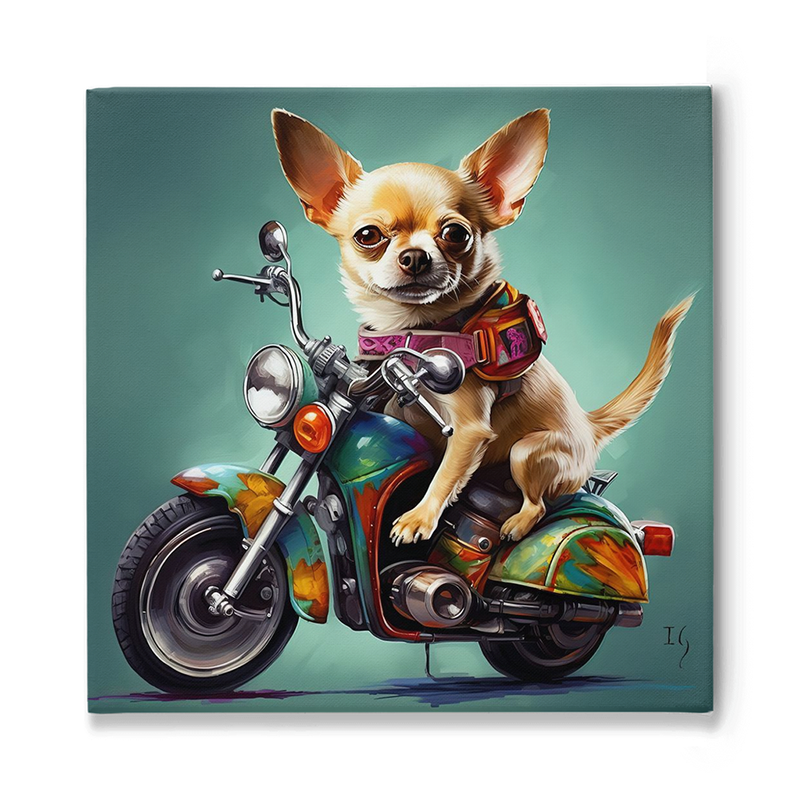 Colorful and happy chihuahua on a motorcycle adventure.