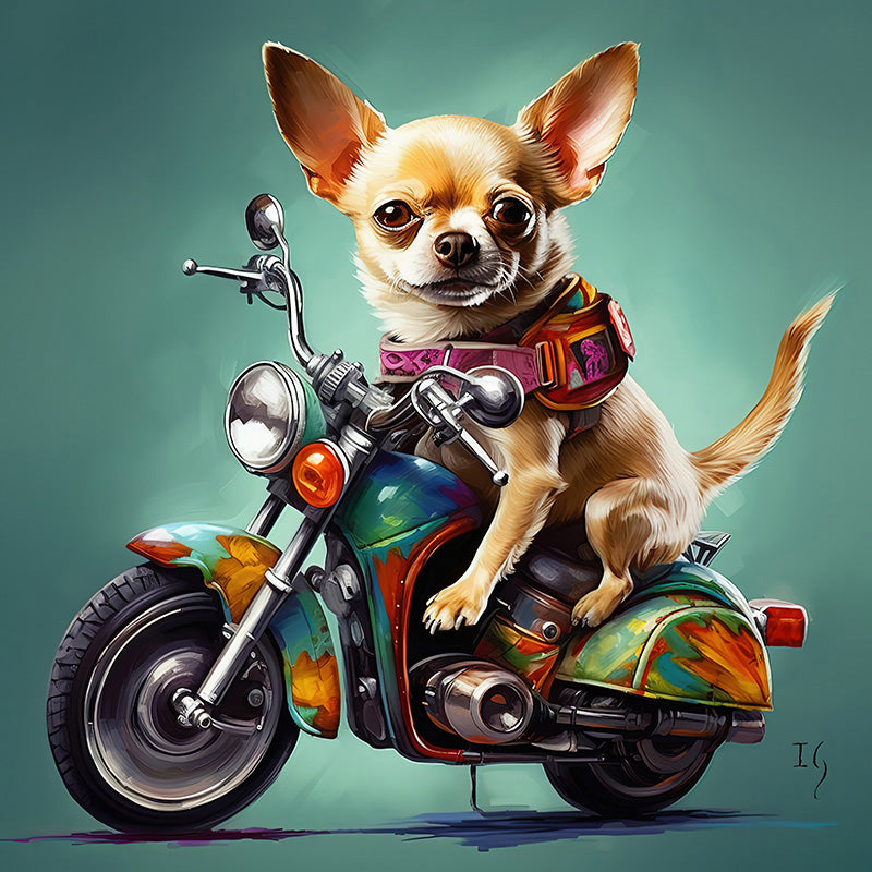 Happy chihuahua on a fun and vibrant motorcycle adventure.