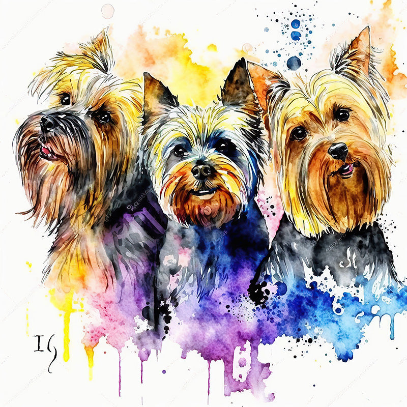 Colorful artwork of three attentive Yorkshire terriers, their fur awash in shades of gold, blue, and purple, contrasted by dripping watercolor splashes and abstract shapes.