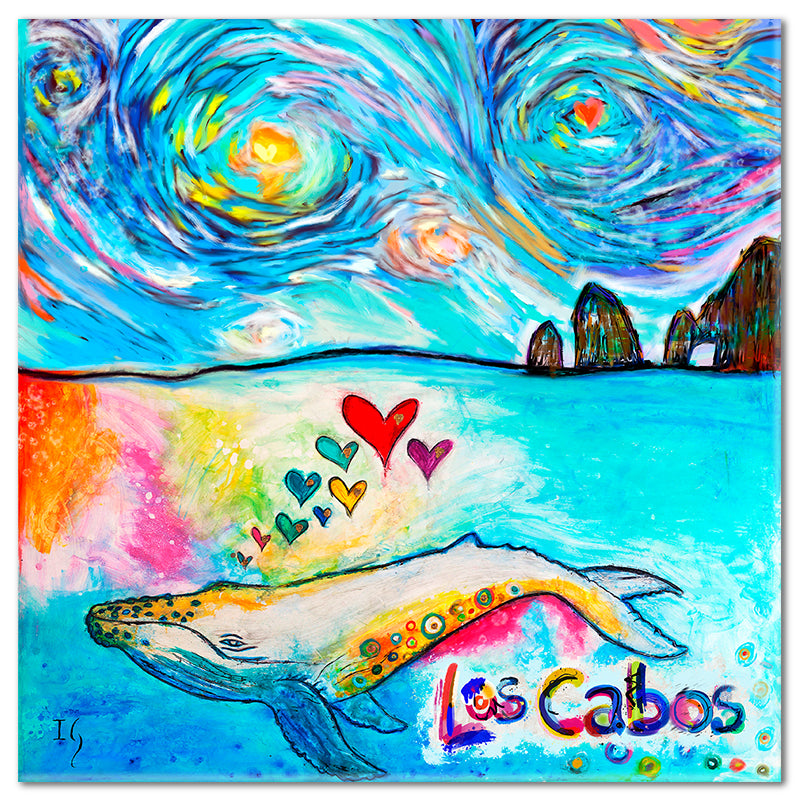 Los Cabos  Whale